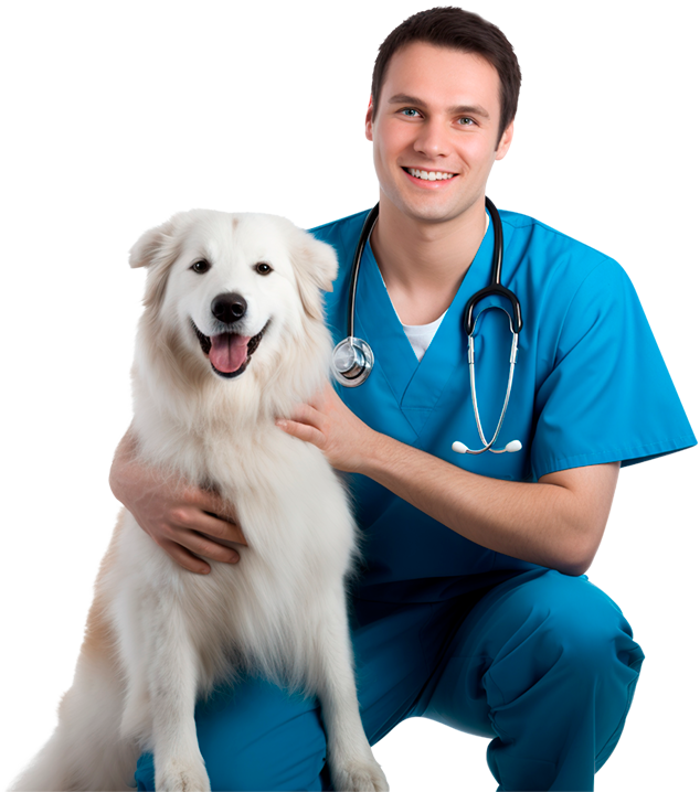 Profesional veterinario con perro